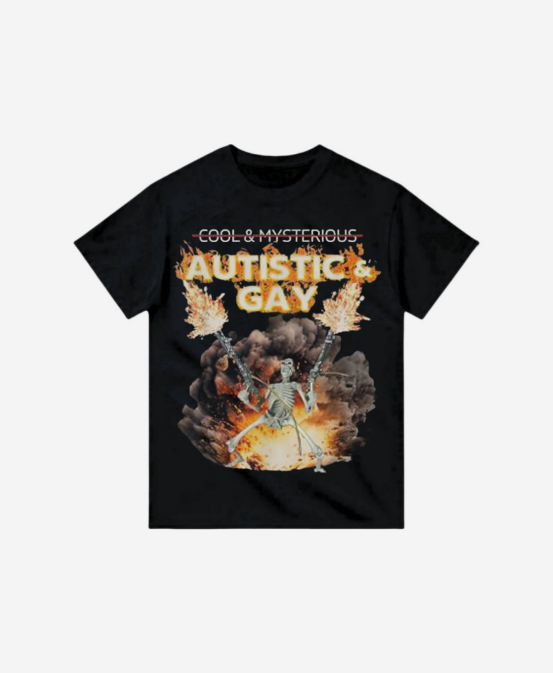 234 - T-shirt - Autism & Gay